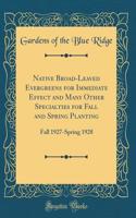 Native Broad-Leaved Evergreens for Immediate Effect and Many Other Specialties for Fall and Spring Planting