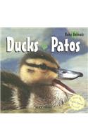 Ducks / Patos