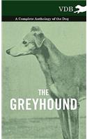 Greyhound - A Complete Anthology of the Dog