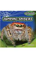 Jumping Spiders