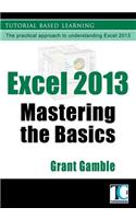 Excel 2013 Mastering the Basics
