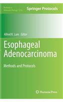 Esophageal Adenocarcinoma