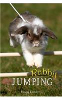 Rabbit Jumping