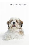 Lhasa Apso May Notebook Lhasa Apso Record, Log, Diary, Special Memories, To Do List, Academic Notepad, Scrapbook & More