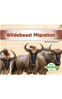 Wildebeest Migration: (Animal Migration)