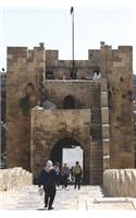 Aleppo Citadel in Syria Journal: 150 Page Lined Notebook/Diary