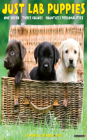 Just Lab Puppies 2021 Wall Calendar (Dog Breed Calendar)