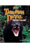 Tasmanian Devil