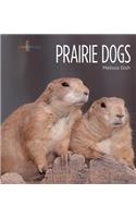 Prairie Dogs