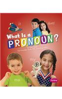 What Is a Pronoun?