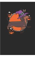 Halloween Dachshund