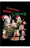 Christmas Merry Catmess