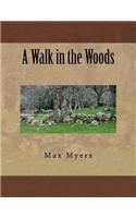 A Walk in the Woods