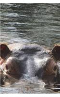Peek a Boo Hippo in the River Journal: Take Notes, Write Down Memories in this 150 Page Lined Journal