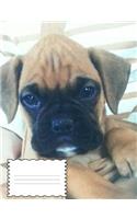 Boxer Puppy Composition Book