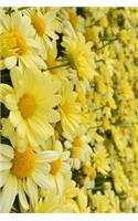 I Love Yellow Daisies Journal