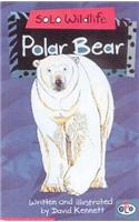 Solo Wildlife: Polar Bear
