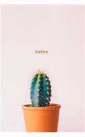 Notes