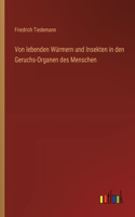 Von lebenden Würmern und Insekten in den Geruchs-Organen des Menschen