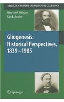 Gliogenesis: Historical Perspectives, 1839 - 1985