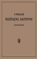 Plastische Anatomie