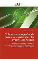 G2/M Et Morphogenèse Du Fuseau de Division Dans Les Ovocytes de Xénope