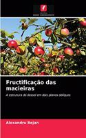 Fructificação das macieiras