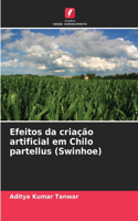 Efeitos da criação artificial em Chilo partellus (Swinhoe)