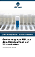Gewinnung von RNA aus dem Hippocampus von Wistar-Ratten