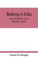 Wanderings In Arabia