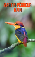 Martin-Pêcheur Nain