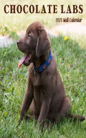 Chocolate Labs 2021 Wall Calendar: Chocolate Labs 2021 Calendar,18 Months