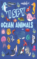 I Spy Ocean Animals