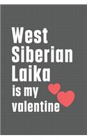 West Siberian Laika is my valentine