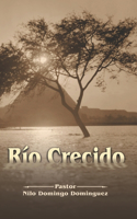 Rio Crecido