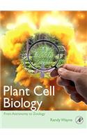 Plant Cell Biology: From Astronomy to Zoology