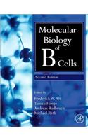 Molecular Biology of B Cells