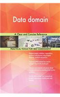 Data domain A Clear and Concise Reference