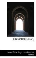 A Brief Bible History
