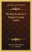 Boy Scouts In A Trapper's Camp (1920)