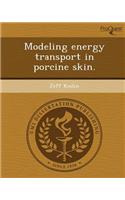 Modeling Energy Transport in Porcine Skin