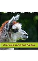 Charming Lama and Alpaca 2018