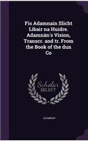 Fis Adamnain Slicht Libair na Huidre. Adamnán's Vision, Transcr. and tr. From the Book of the dun Co