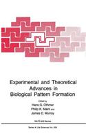 Experimental and Theoretical Advances in Biological Pattern Formation