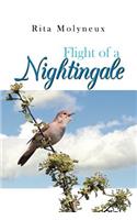 Flight of a Nightingale