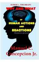 Eureka... The Brain! Why and What of Human Actions and Reactions