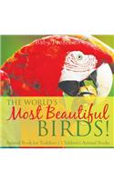 World's Most Beautiful Birds! Animal Book for Toddlers Children's Animal Books