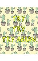Try Try Try Again
