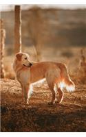 Golden Retriever Dog Pup Puppy Doggie Notebook Bullet Journal Diary Composition Book Notepad - Standing in Sunset