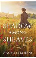 Shadow Among Sheaves